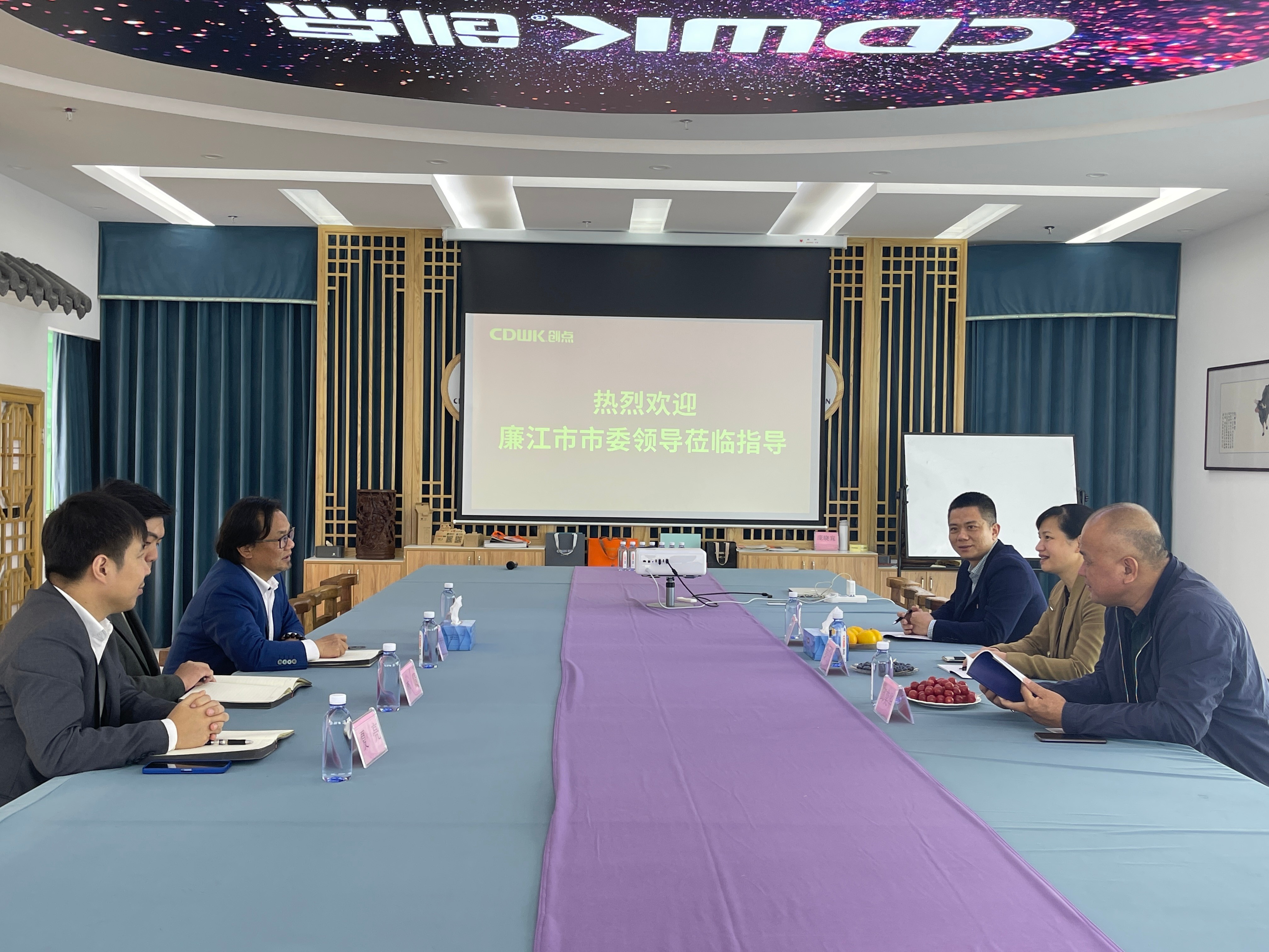 熱烈歡迎廉江市市委領導蒞臨創點參觀指導！
